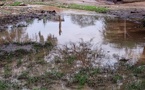 Tchad : La Mairie de Mongo crée un comité de gestion de l'eau de pluie pour prévenir les inondations