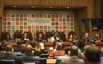 Séance d'information virtuelle et de questions-réponses pour la session 2025 du Forum politique de haut niveau des Nations-Unies pour le développement durable (FPHN). Photo : sdg.iisd.org