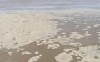 Tchad : à Ati, le fleuve Batha reprend son cours, au bénéfice des riverains