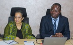 Tchad : Mission d'assistance technique de l'OACI pour l'Aviation Civile