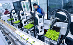 China's smart farms bring innovation to life