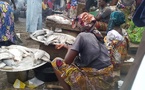 Tchad : à N'Djamena, les marchés de poisson deviennent impraticables et insalubres en saison de pluie