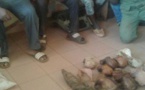 Cameroun : trois trafiquants arrêtés à Dimako