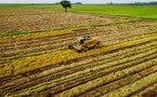 Nigeria : participation de la BAD à la cérémonie inaugurale de la zone spéciale de traitement agro-industriel dans l’État d’Oyo