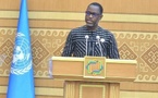 3ème Conférence des Nations-Unies sur les PDSL :  l'AES présente en tant qu'espace d'opportunités