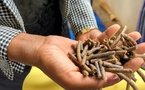 Tchad : inauguration d'une unité spécialisée dans la nutrition animale et la production d'engrais