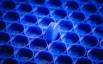 Négociations internationales sur la pollution plastique : l’INC-5.2 échoue à trouver un accord à Genève