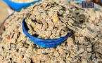 Garatt (Acacia nilotica) : Le trésor de la pharmacopée traditionnelle tchadienne