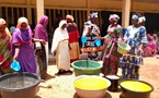 Tchad - Moyen-Chari : Des femmes transforment le karité en levier d’autonomie économique