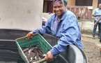 Cameroun : le pari gagnant de la pisciculture pour améliorer les conditions de vie des populations
