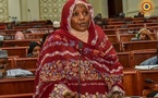 Tchad : Les députés approuvent la création d'une commission spéciale sur la révision de la Constitution