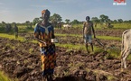 Tchad : Polémique nationale autour de la relecture du code pastoral