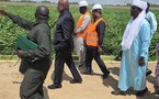 Tchad : Un mois de délai pour la SOPROFIM après une visite ministérielle