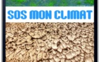 CLIMAT : Le Développeur MAHA LEE CASSY présentera son application «  SOS MON CLIMAT » pour lutter contre le changement climatique