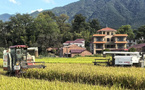 Farming made easy: how an APP is revolutionizing rural harvests in E China's Jiangxi