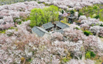 Wellness tourism: 'slow travel' unlocks a booming market