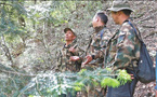 Father and son devoted over 30 years to protecting the Yunnan golden hair monkeys