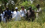 Tchad : l'ambassade de France s'engage en faveur de la jeunesse et du développement durable