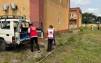 Tchad : Une opération de reboisement pour la résilience post-inondations (Logone Oriental)