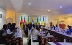 Tchad : Atelier de Formation sur l'Utilisation des Images par le Volet des Standards des Ménages (EHCVM)