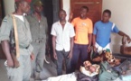 Cameroun : trois trafiquants interpellés à Ebolowa