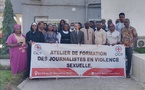 Tchad : des journalistes mieux outillés pour traiter la problématique des violences sexuelles, grâce au CICR