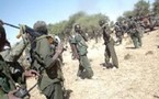 Tchad: 247 éléments des deux UFDD regagnent la légalité