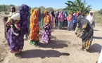Tchad : l’ANADER renforce les capacités des producteurs à N’Tiona