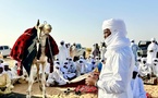 Tchad : le clan Ourda (Donza) offre 100 têtes de dromadaires au Maréchal Mahamat Idriss Deby Itno
