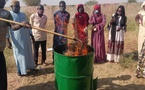 Tchad : formation en entrepreneuriat vert à Mongo, 100 bénéficiaires pour valoriser les déchets organiques