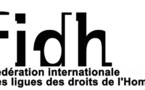 Opération sécuritaire dans le Pool : Le tandem FIDH-OCDH dans les flots écumeux des mensonges  