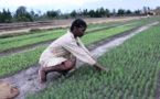 Madagascar : un prêt de la BAD de 1,1 million $ pour financer un programme agricole‏