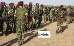 Tchad: les rebelles quittent Goz Beida pour poursuivre l'armée régulière