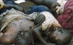 Tchad: des bandits armés assassinent des populations civiles à l'est