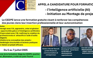 Tchad : Le CEDPE organise une formation sur l'intelligence Artificielle (5-7 juillet 2025)