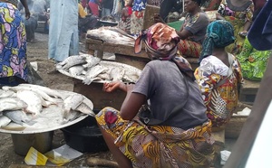 Tchad : à N'Djamena, les marchés de poisson deviennent impraticables et insalubres en saison de pluie