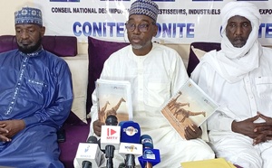 Tchad : le CONITE soutient le Programme national du développement (PND) « Tchad connexion 2030 »