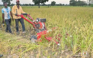 Burkina Faso – Campagne agropastorale 2025-2026 : Le Ministre d’État Ismaël SOMBIÉ assiste à la récolte mécanisée du riz à Karaba