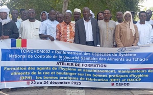 Tchad : la FAO et le ministère de la Santé renforcent la sécurité sanitaire des aliments