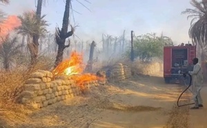 Tchad : au Borkou, des incendies détruisent des palmiers dattiers en pleine saison agricole