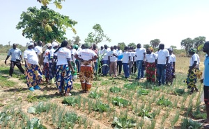 Tchad : les agripreneurs en visite d’échange à Kélo pour renforcer leurs compétences