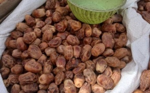 Tchad : les dattes, des fruits aux multiples bienfaits, très consommés pendant le mois de Ramadan