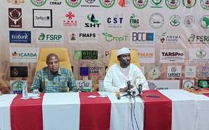 إنجامينا تستعد لاحتضان المؤتمر الإقليمي الثالث حول القمح في غرب ووسط إفريقيا