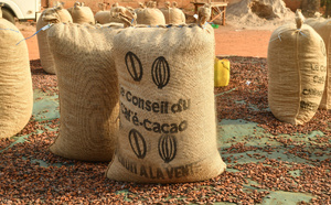 Côte d’Ivoire : campagne cacao 2025-2026, le prix bord champ fixé à 1200 FCFA/kg