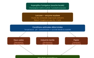 Recherche : Fatima Abdelwahed, étudiante tchadienne, met en lumière une enzyme capable de lutter contre la pollution