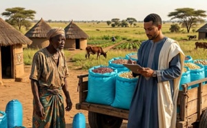 Tchad : l'usure dans le Salamat, quand la dette dévore la récolte avant même la moisson