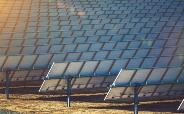 Baisse des coûts liés aux énergies renouvelables : la voie vers des projets écologiques d'envergure