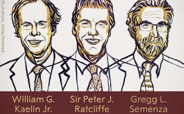 Nobel 2019 : les lauréats du prix de physiologie ou médecine