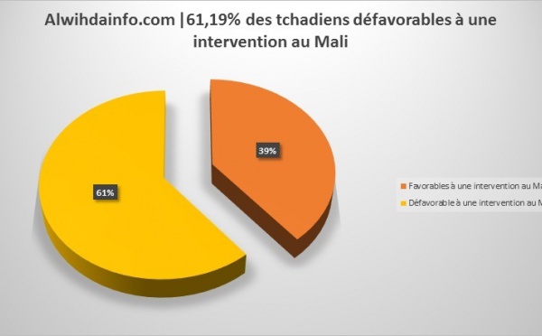 61,19% des tchadiens défavorables à une intervention au Mali