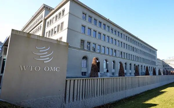 OMC : les PMA obtiennent la prolongation d’une période transitoire sur la propriété intellectuelle